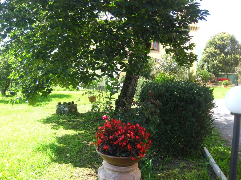 B&B Villa Pardi Lucca Exterior photo